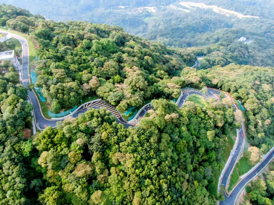 黄埔绝美徒步路线 →