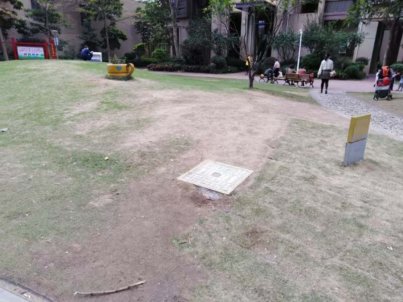 绿化美化前