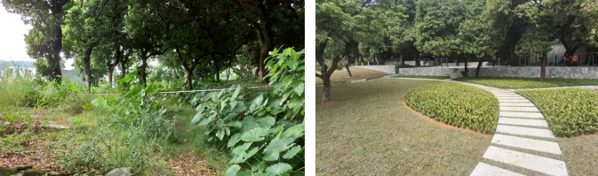 玉岩书院入胜牌坊地块改造前后对比 玉岩书院入胜牌坊地块改造前后对比