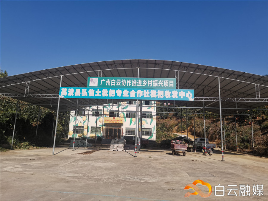 八烂村枇杷基地