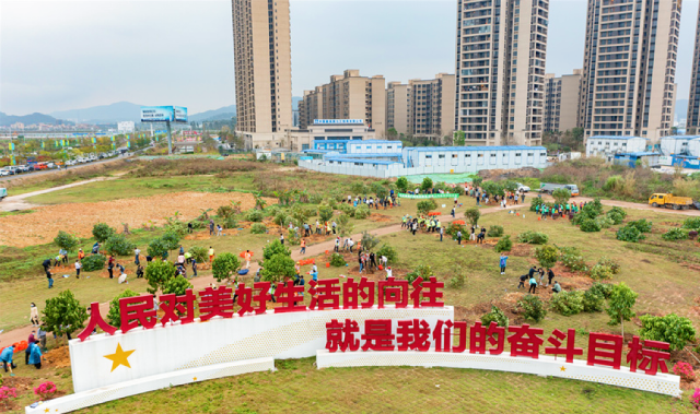 广州市白云区组织全民义务植树志愿活动。