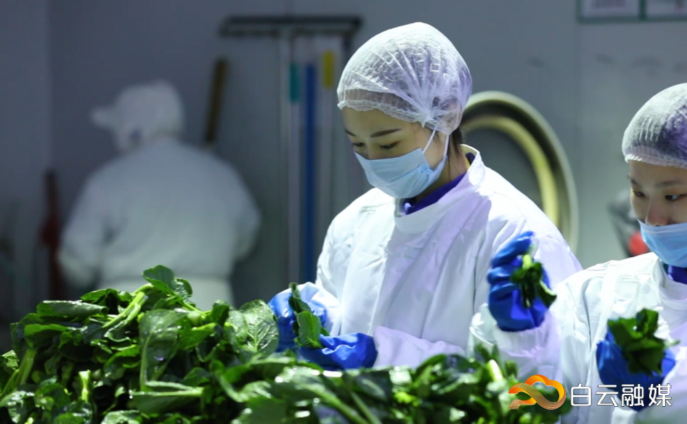 乐禾食品实现农产品的全流程管理，图为农产品的安全质量检测环节。
