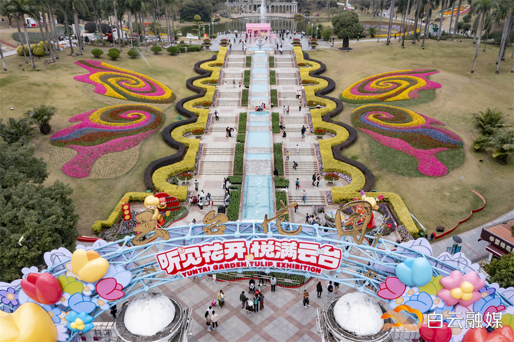 明日开幕！12万株郁金香在云台花园盛放