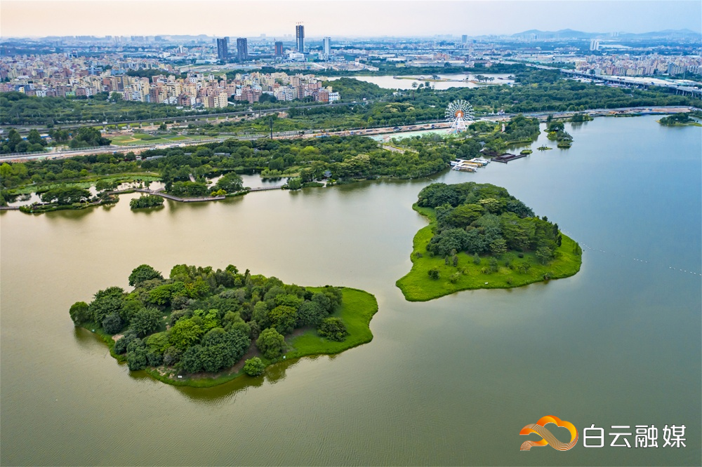 白云湖公园。石建华 摄2