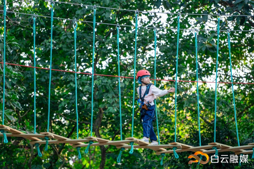 7d404de46c8444b6a59872f780114615