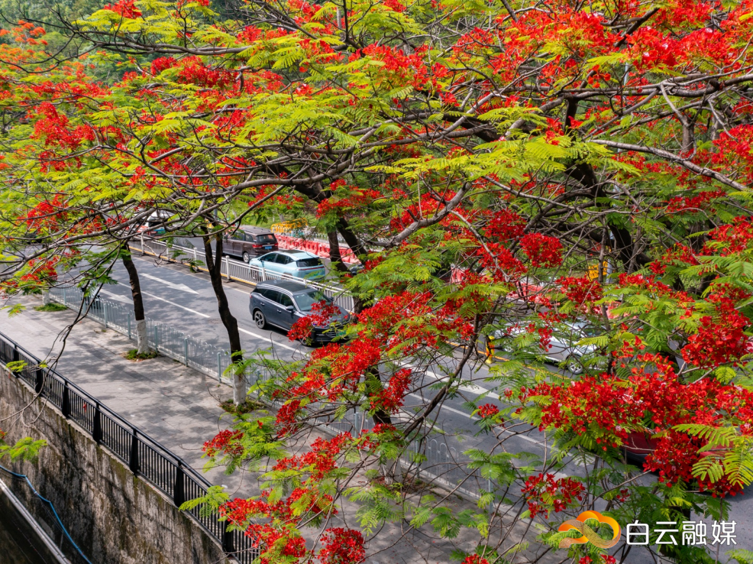 DJI_0758