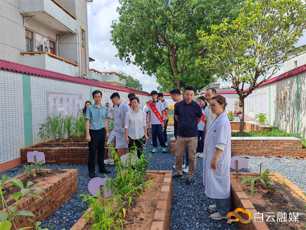 参观中草药基地