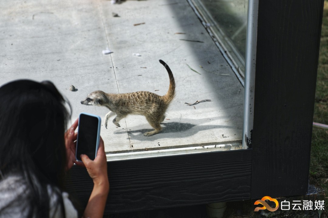 044A0242-01.jpeg 044A0242-01.jpeg