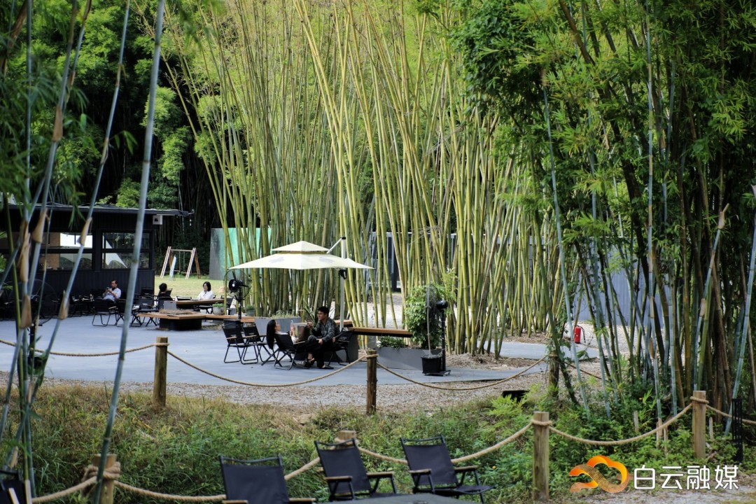 044A0445-01.jpeg 044A0445-01.jpeg