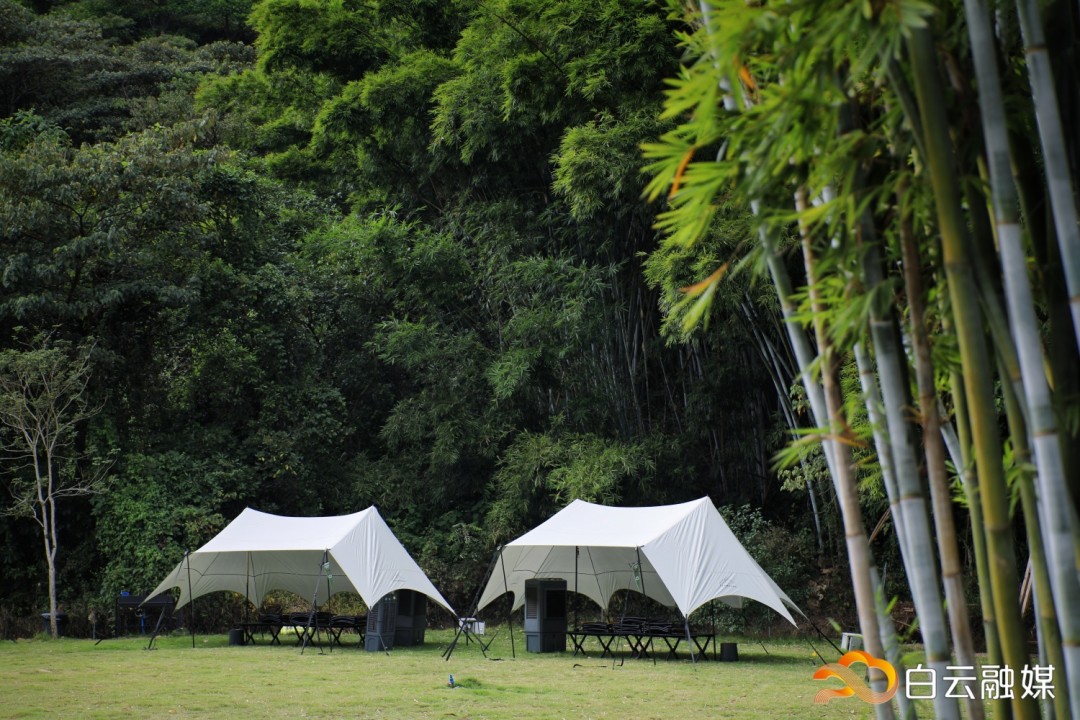 044A0412-01.jpeg 044A0412-01.jpeg