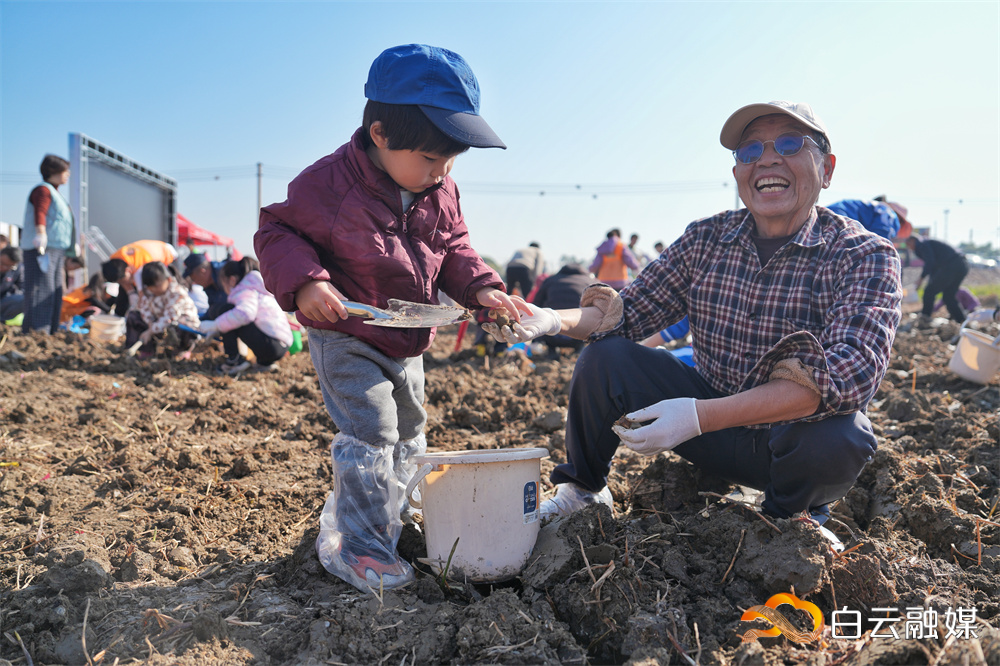 微信图片_20260110220852_156_275