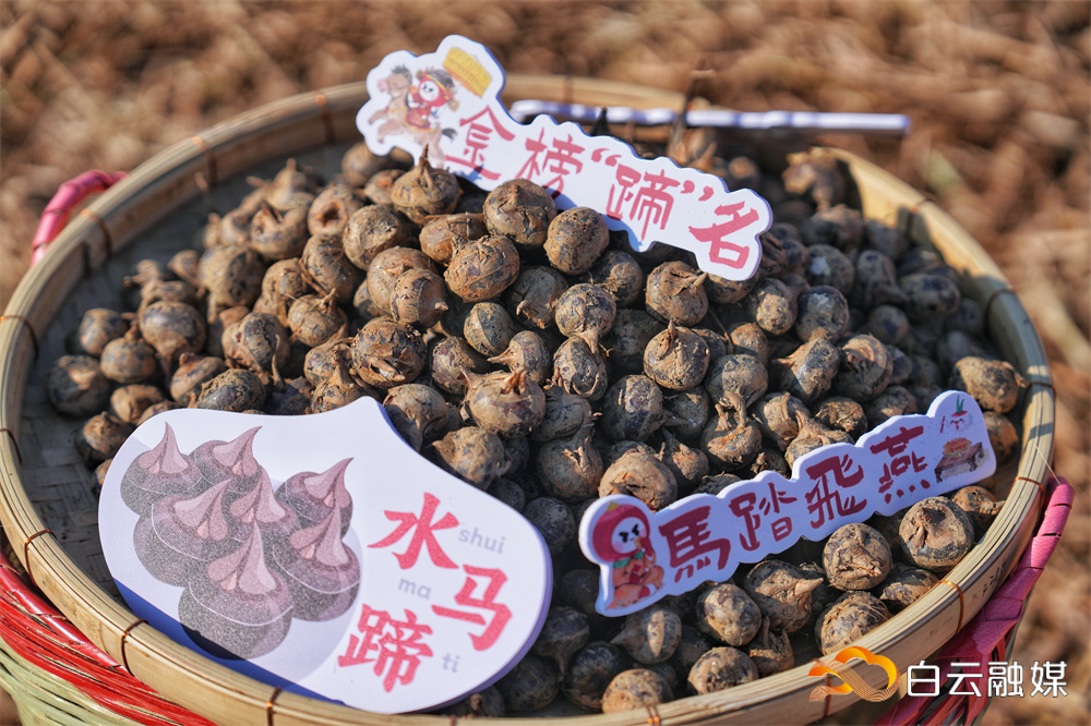 微信图片_20260110202810_153_275