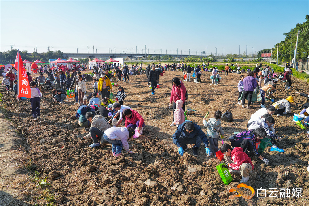 微信图片_20260110194120_140_275