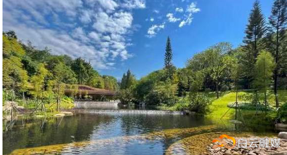 云溪植物园云溪