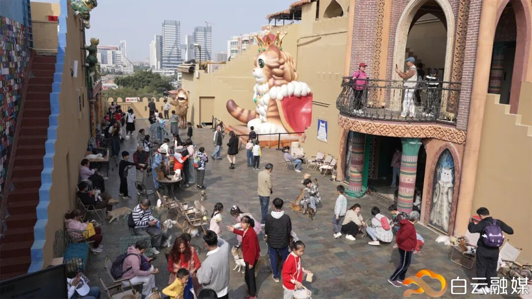 微信图片_2026-04-28_194915_923