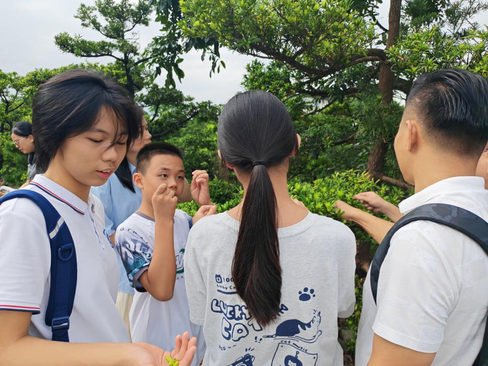 图片4.png