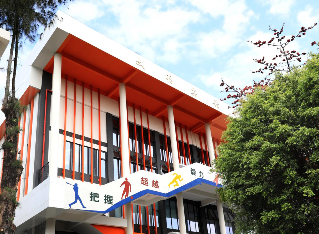 新建体育馆.png