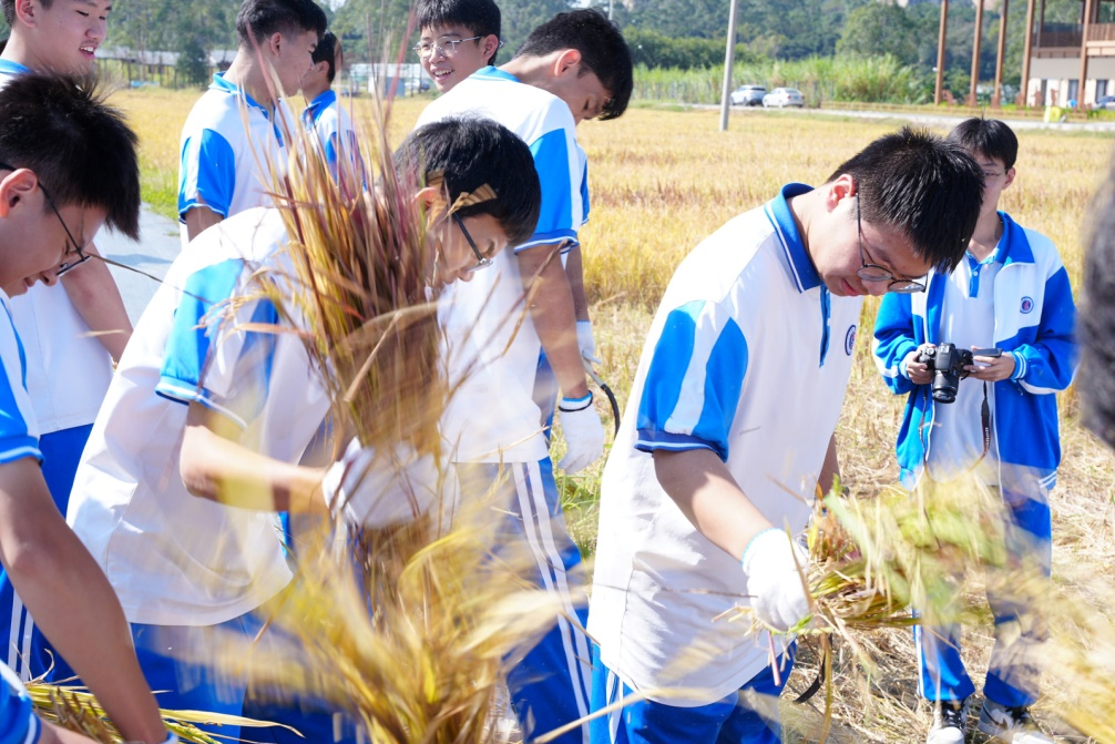 学生研学活动.png