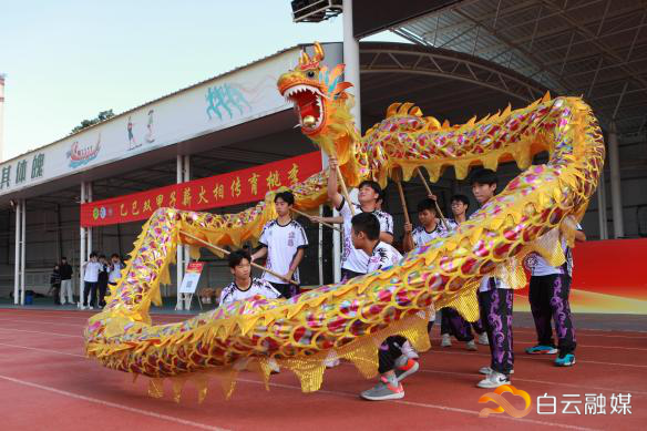 图片20