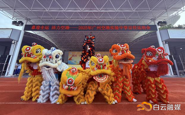 图片19