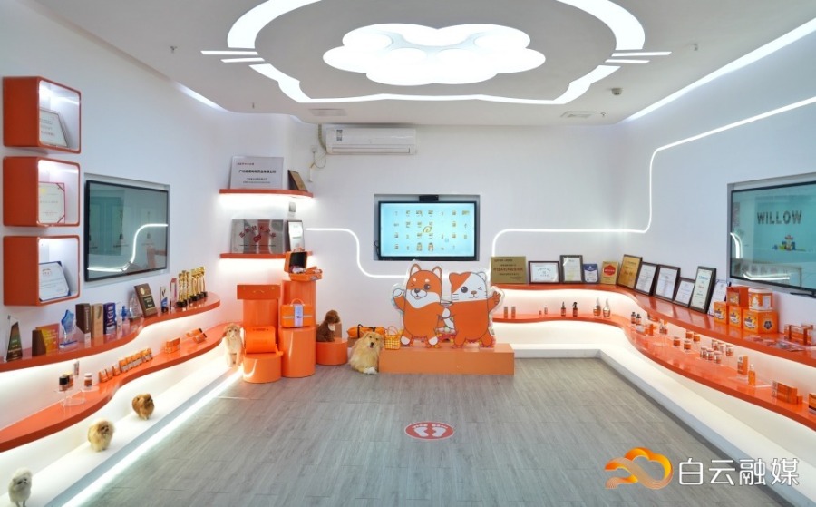 DSC01875-01