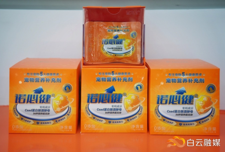 DSC02051-02