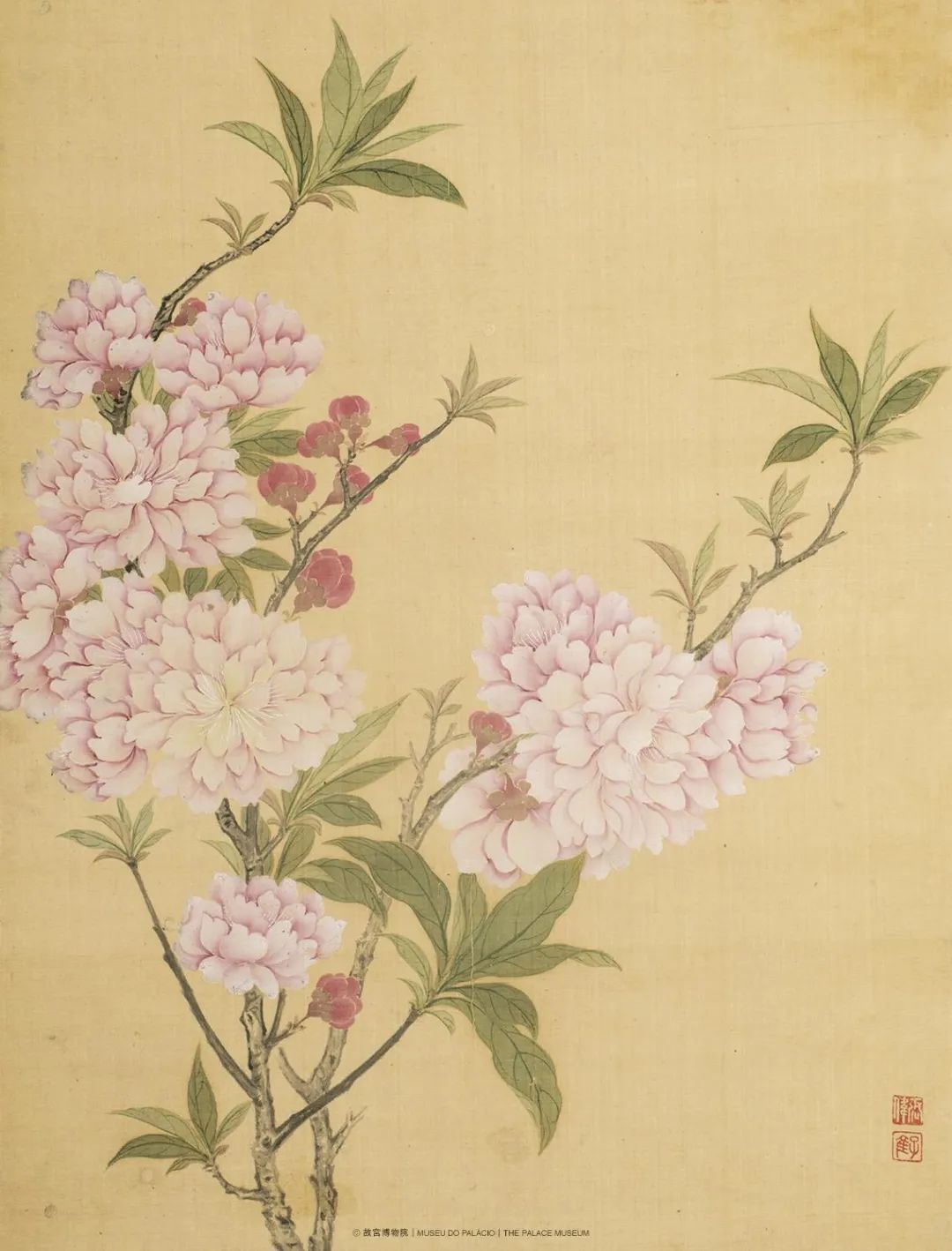 张伟《花卉图》清