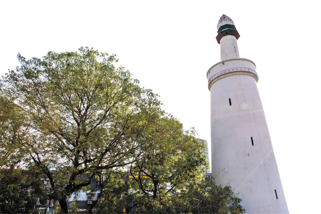 王月华-苏俊杰-sjj20230416_12-F-FZ102811003938