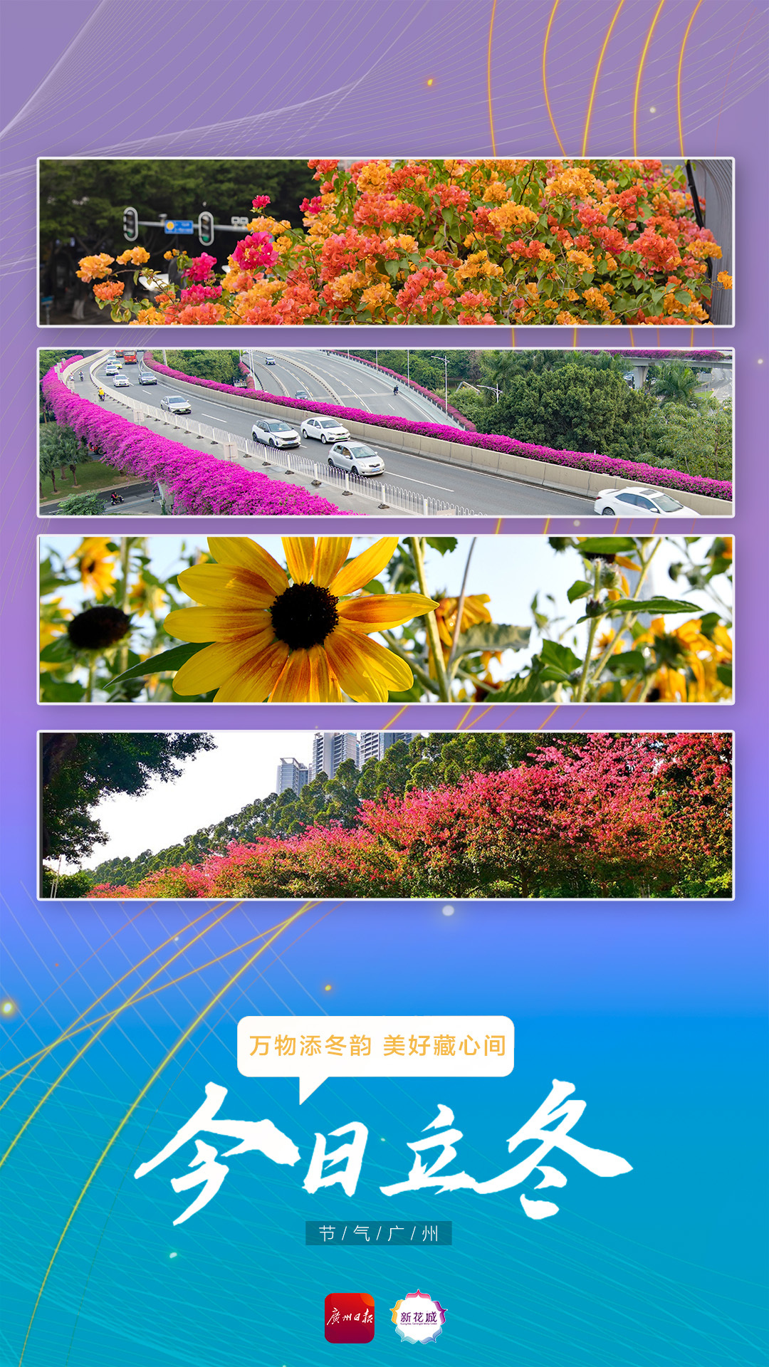 微信图片_20231107225314