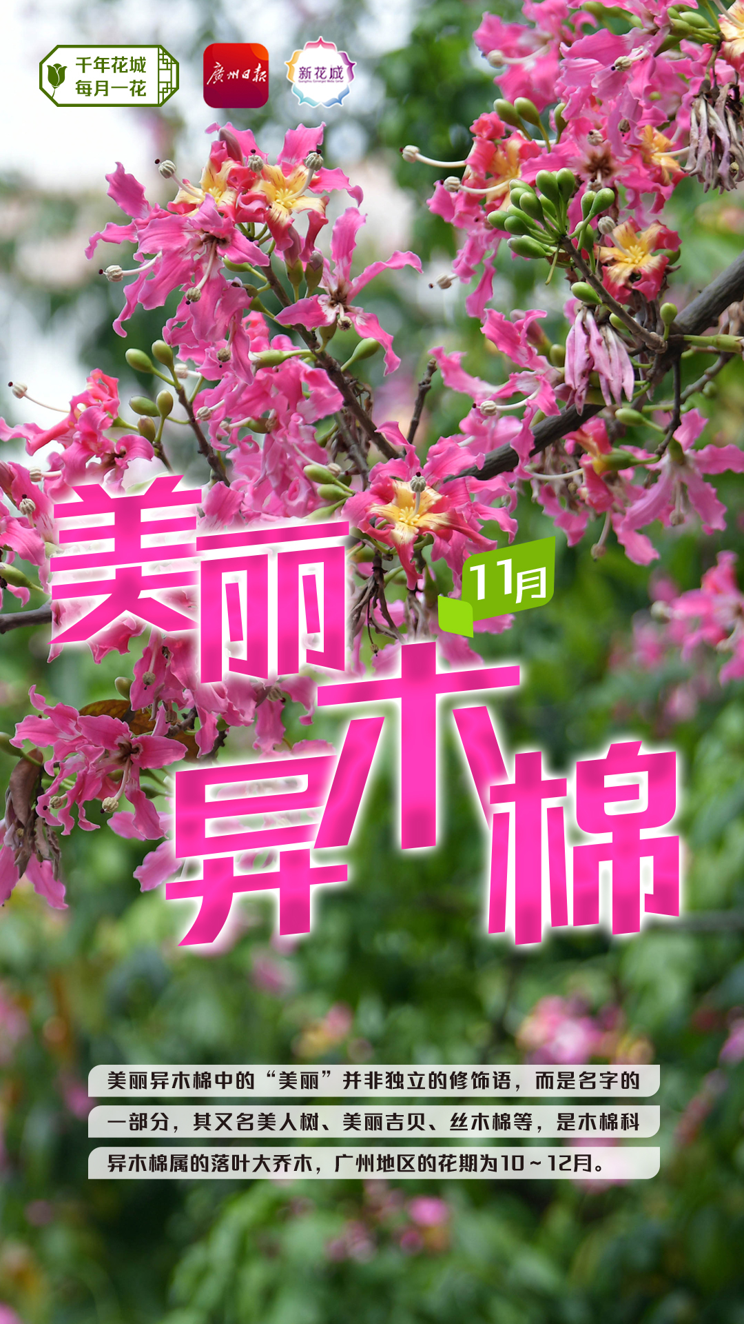 bf23f1ce931ae151abd82cedb192f3f.jpg bf23f1ce931ae151abd82cedb192f3f.jpg