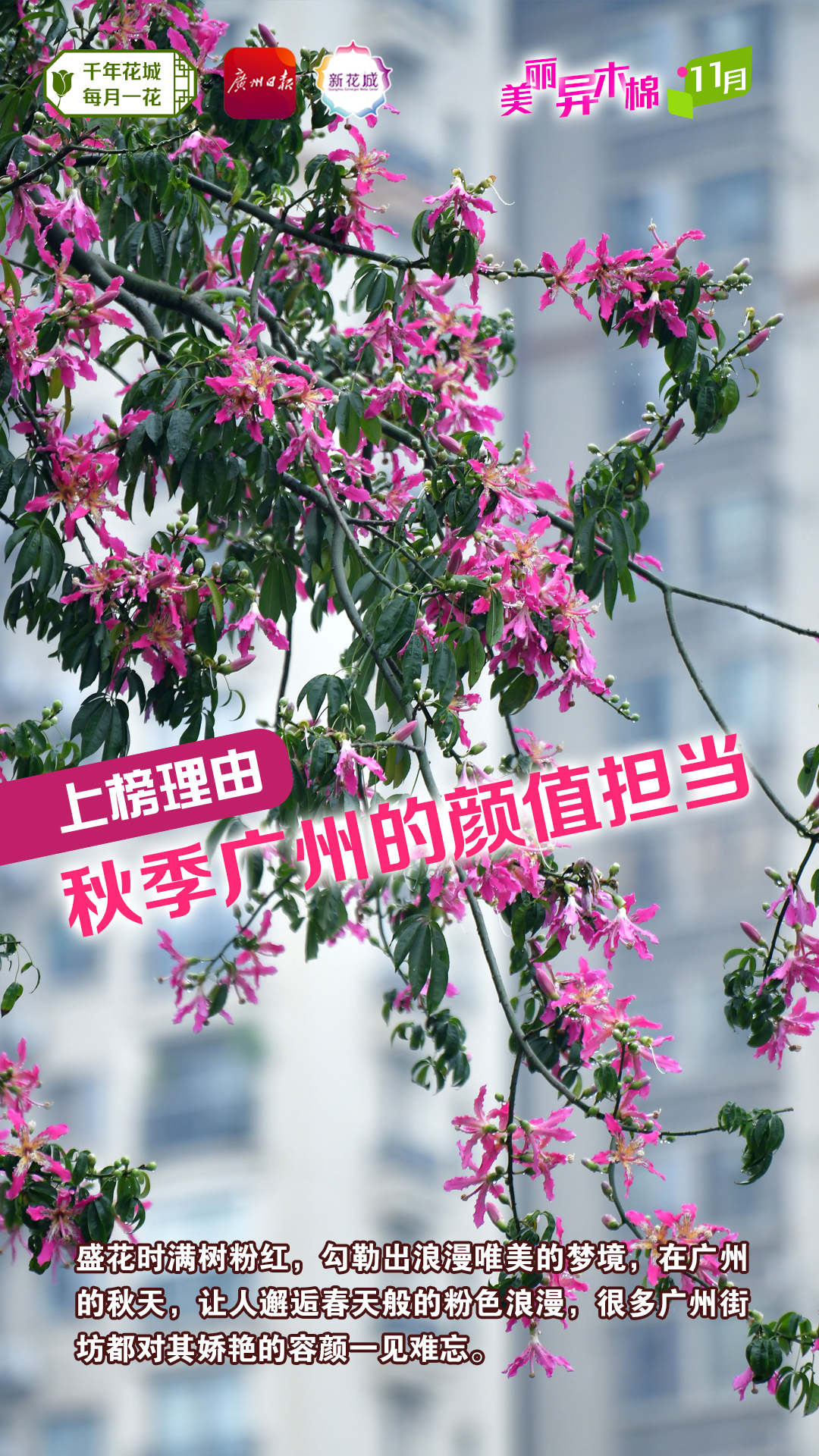 05f9e609a5c57aebf07caf55a620742.jpg 05f9e609a5c57aebf07caf55a620742.jpg