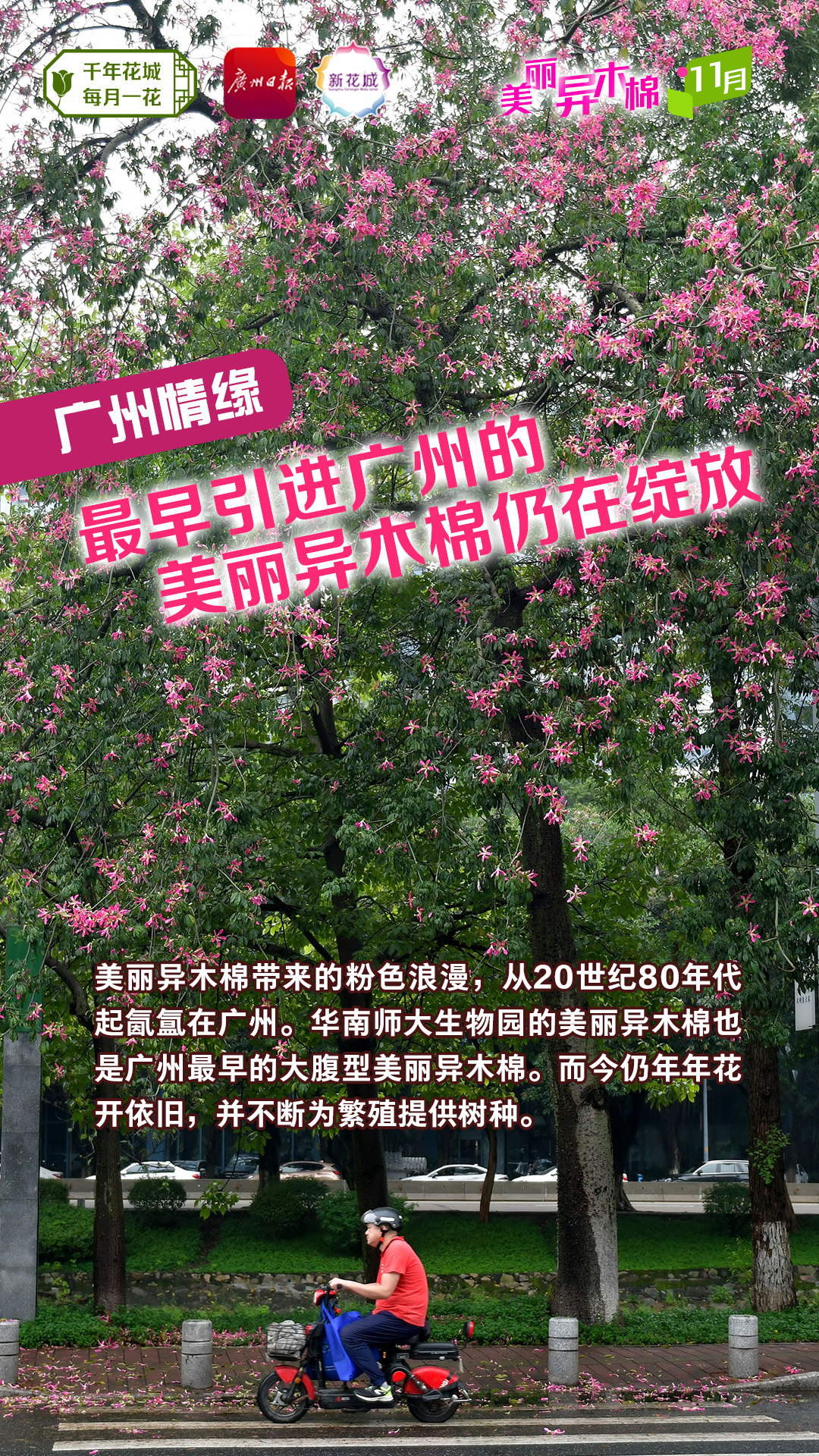 5fd0e4b09fc741f0e7f287af8e85a9a.jpg 5fd0e4b09fc741f0e7f287af8e85a9a.jpg