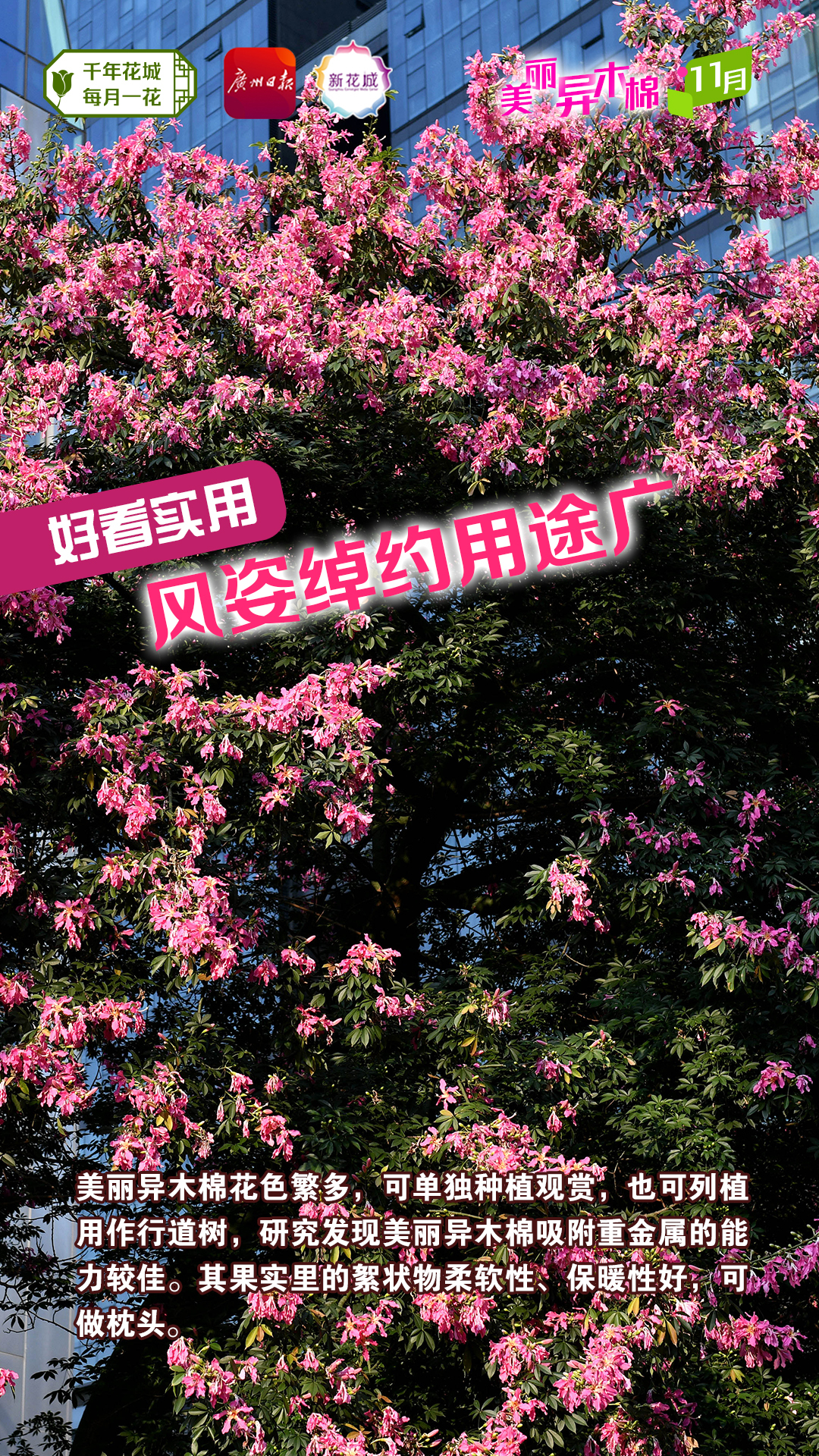 6637fecca0bede5a2497a438bc2110b.jpg 6637fecca0bede5a2497a438bc2110b.jpg