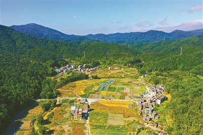 11039892_oujy_1699519523225_b