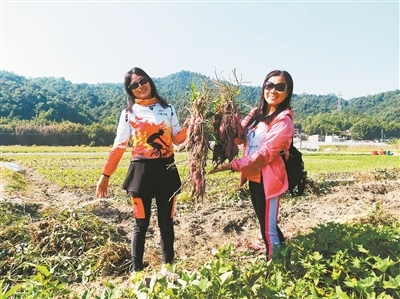 11039889_renqian_1699438724378_b