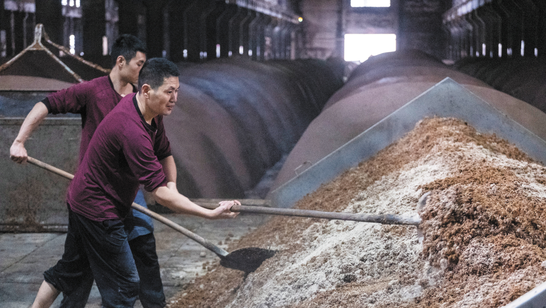 11093673_oujy_1700467876366