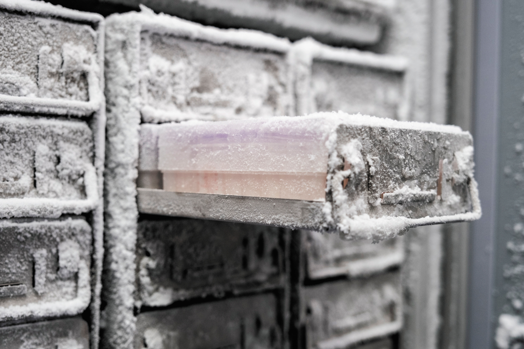 11093678_oujy_1700467714785