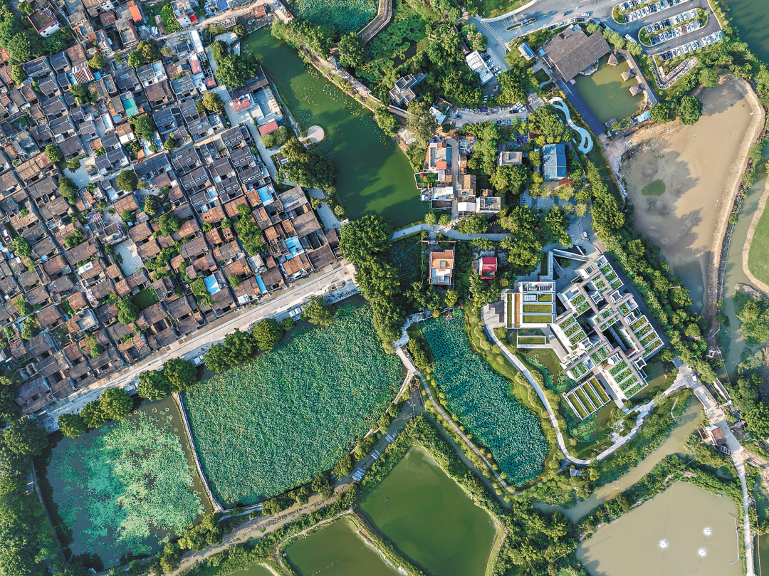 嵇沈玲-塱头村-FZ102811116358