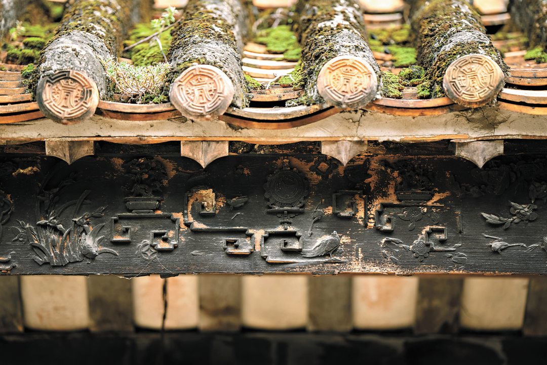 嵇沈玲-塱头村-FZ102811116337