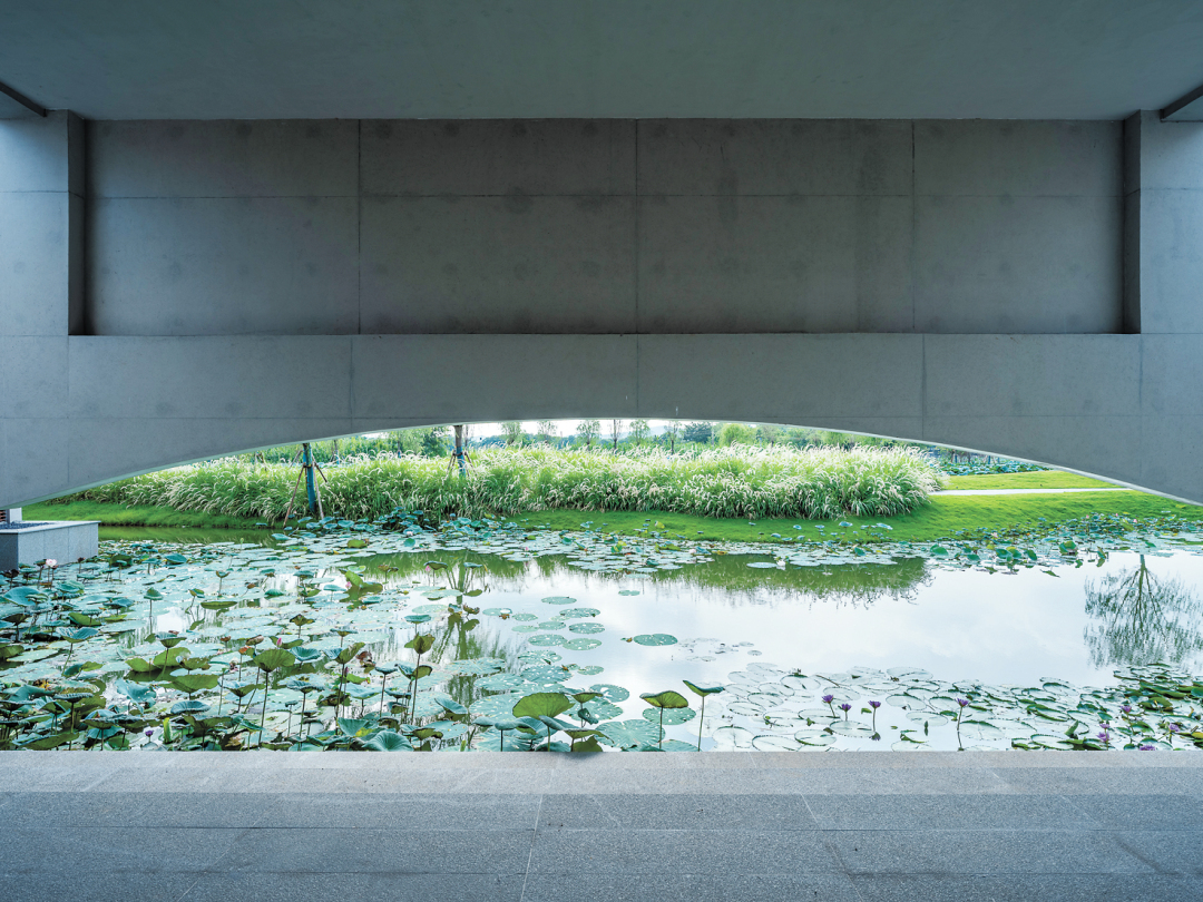 嵇沈玲-DSCF6612-FZ102811129621