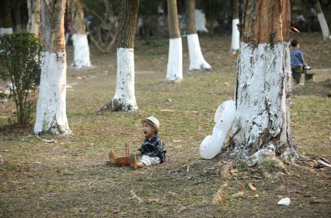 微信图片_20231130153618