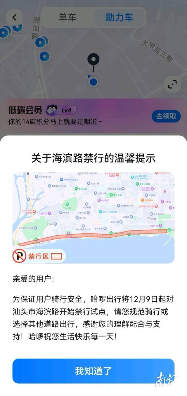1 南方+ 张晓宜 拍摄