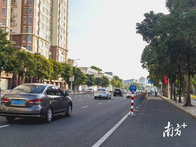 海滨路部分路段划分了机动车道和非机动车道。南方+ 张晓宜 拍摄 海滨路部分路段划分了机动车道和非机动车道。南方+ 张晓宜 拍摄