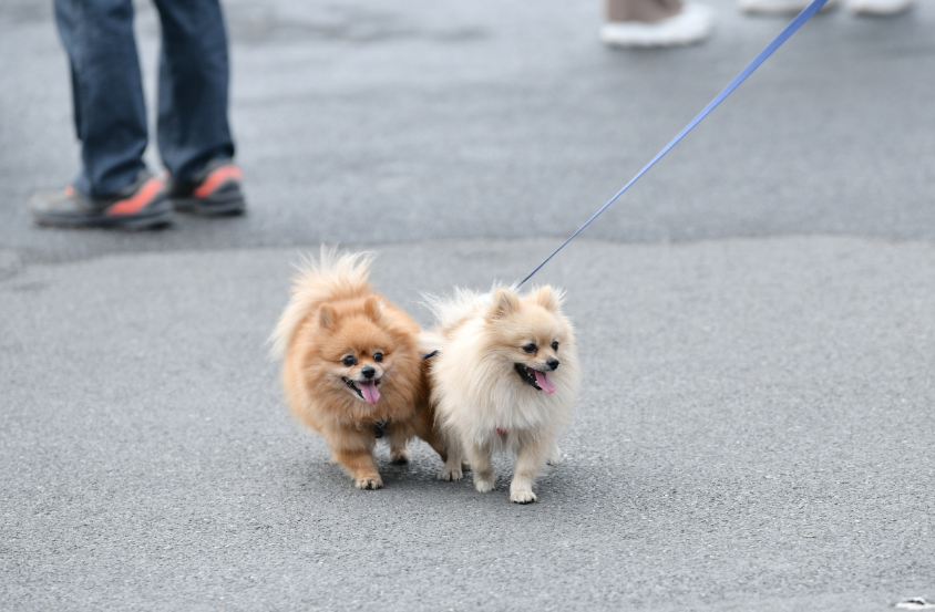 微信图片_20231205132503