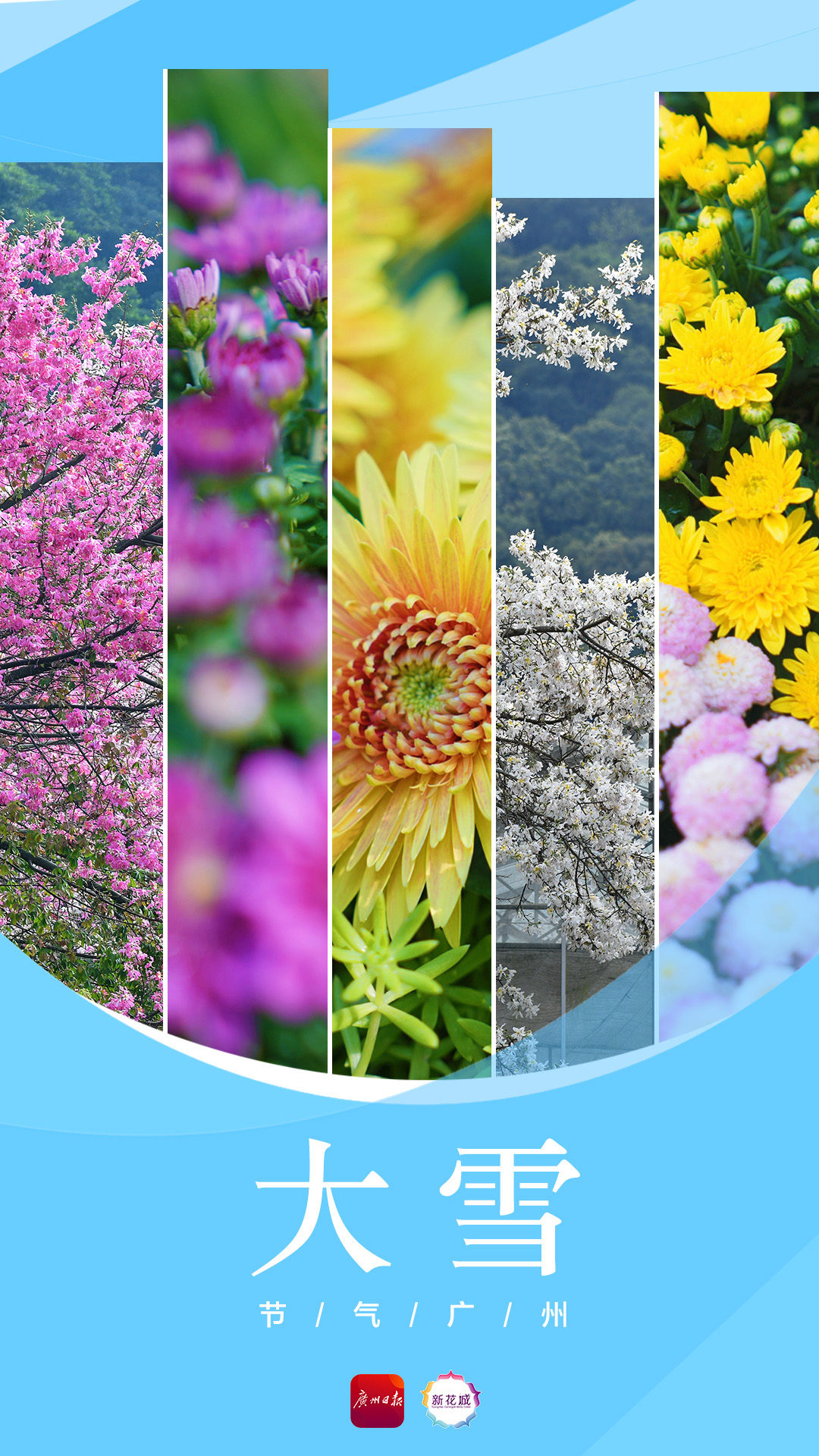 b63de0fa656f1916cb340147e459b0a.jpg b63de0fa656f1916cb340147e459b0a.jpg