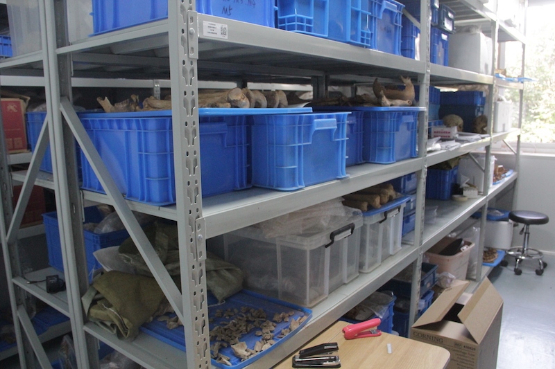 收集了部分骸骨实验室