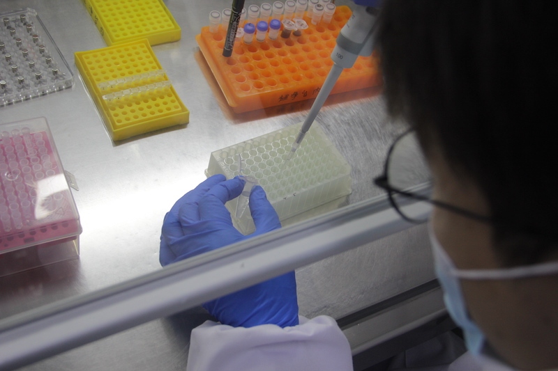 文少卿团队成员在进行样本提取