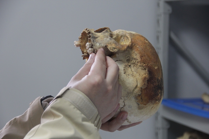 文少卿在观察收集到的骸骨1