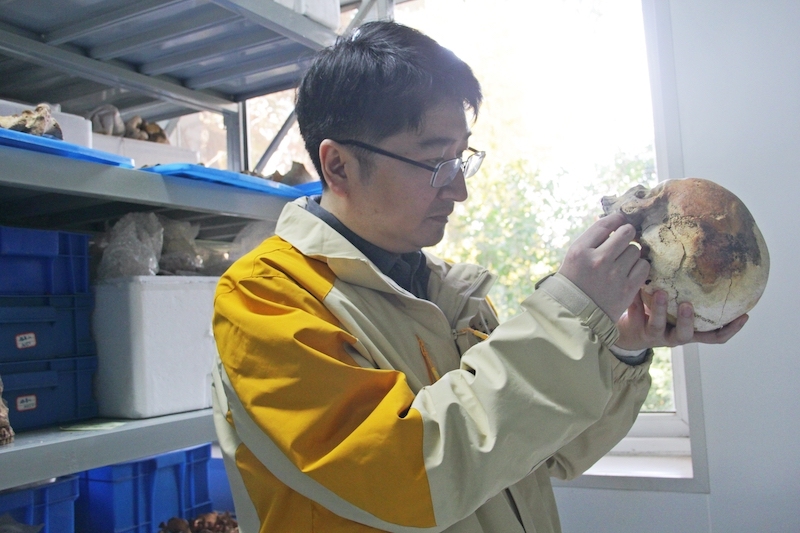 文少卿在观察收集到的骸骨2