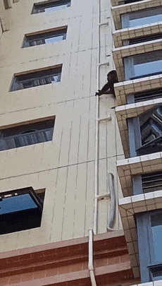 _2023_12_tongdan20231291947267467413